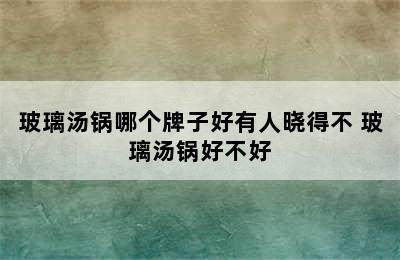 玻璃汤锅哪个牌子好有人晓得不 玻璃汤锅好不好